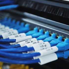 Câbles Ethernet RJ45 branchés dans un serveur